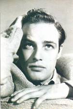 brando4