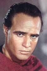 brando7