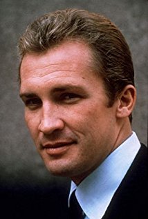 Roy Thinnes Picture