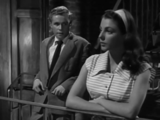 Afficher l�image source