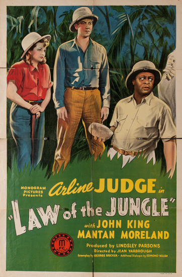 Afficher l�image source