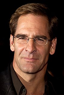 Scott Bakula Picture