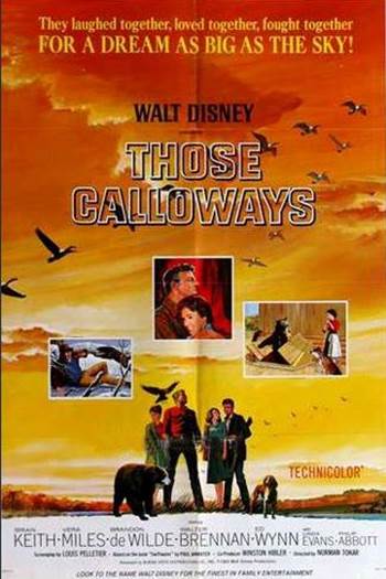calloway