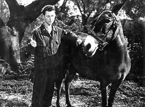 Francis chez les Wacs